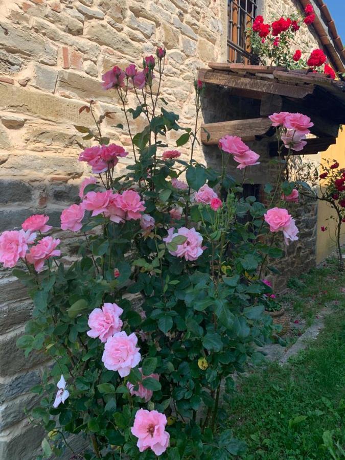 Le Mulina Villa Barberino di Mugello Exteriör bild
